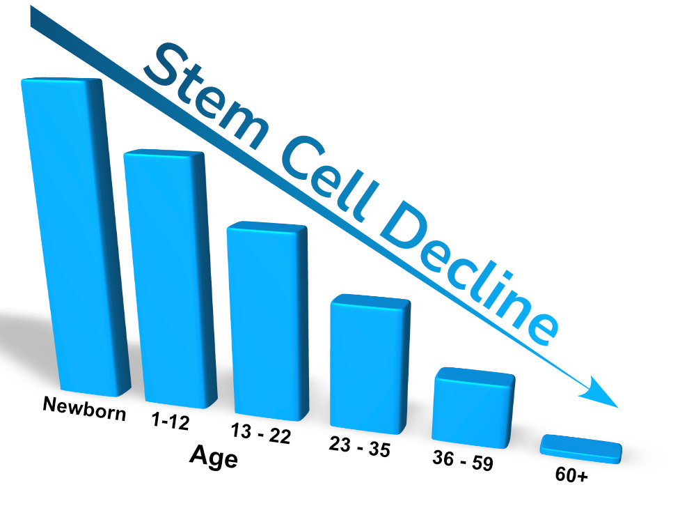StemCellDecline 2025%20%281%29